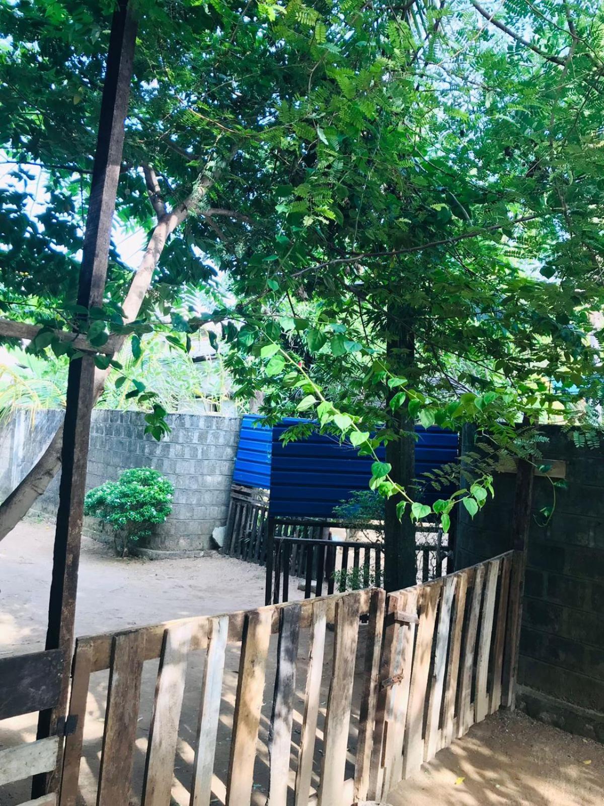 Walkers Hostel Trincomalee Exterior photo
